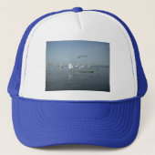 白鳥フェアーレhakuna matata.JPG キャップ (正面)