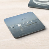 白鳥フェアーレhakuna matata.JPG コースター (左側)