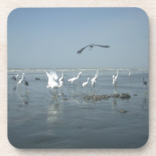 白鳥フェアーレhakuna matata.JPG コースター (正面)