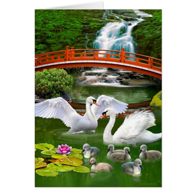 白鳥家族 (正面)