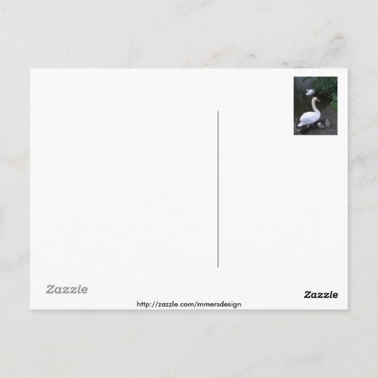 白鳥家族 – はがき (裏面)