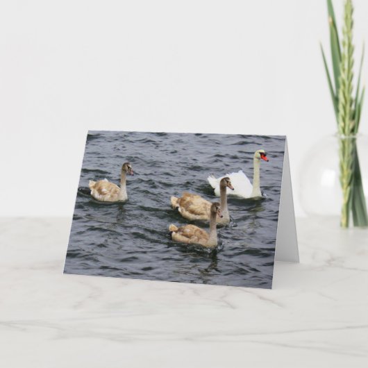 白鳥家 カード (正面)