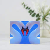 白鳥愛、ロマンチックなハート形の首 ポストカード (スタンド正面)