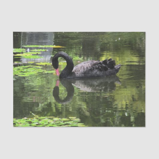 白鳥愛 薄葉紙 (正面)