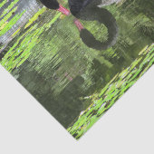 白鳥愛 薄葉紙 (詳細)