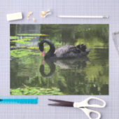 白鳥愛 薄葉紙 (クラフト)