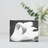 白鳥湖 ポストカード (スタンド正面)