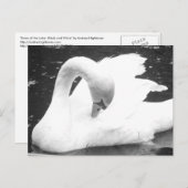 白鳥湖 ポストカード (正面/裏面)