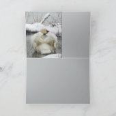 白鳥王 カード (内部)