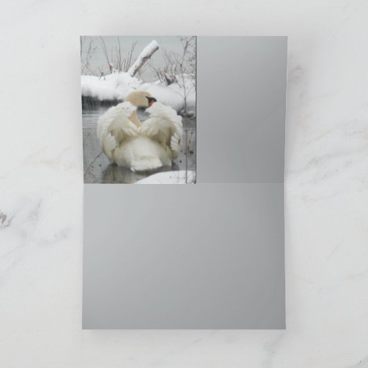 白鳥王 カード (内部)