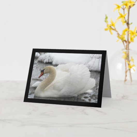 白鳥王 カード (黄色い花)