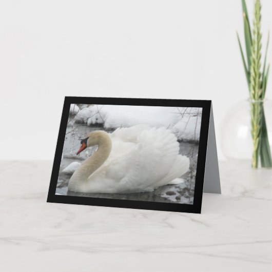 白鳥王 カード (正面)