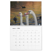 白鳥美しい カレンダー (3月 2026)