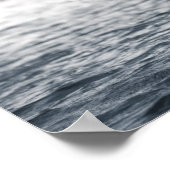 白鳥自然写真 ポスター (角)