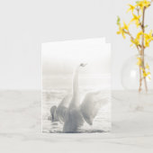 白鳥野生生物の写真 カード (黄色い花)