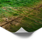 白鳥飛んでいる自然野鳥 ポスター (角)