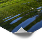 白鳥飛んでいる自然野鳥 ポスター (角)