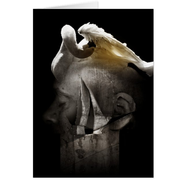 白鳥2013年 (正面)