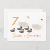 白鳥7羽が泳ぐ ポストカード (正面/裏面)