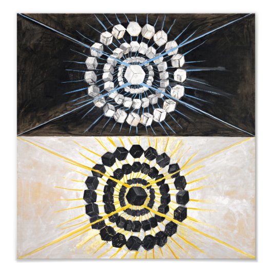 白鳥8番 |ヒルマフクリント | フォトプリント            (正面)