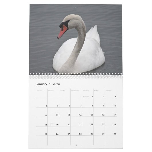 白鳥 カレンダー (1月 2026)