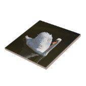 白鳥 タイル (側面)