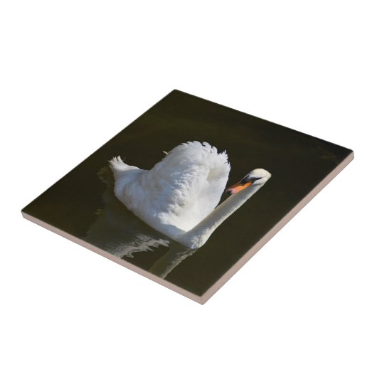 白鳥 タイル (側面)