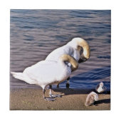 白鳥 タイル (正面)