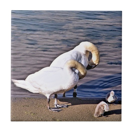 白鳥 タイル (正面)