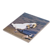 白鳥 タイル (側面)