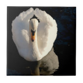 白鳥 タイル (正面)