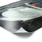 白鳥 フォトプリント            (角)