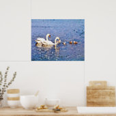 白鳥 ポスター (キッチン)