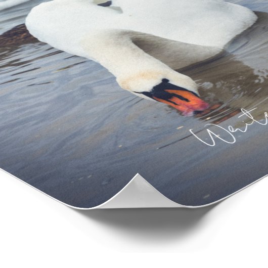 白鳥 ポスター (角)