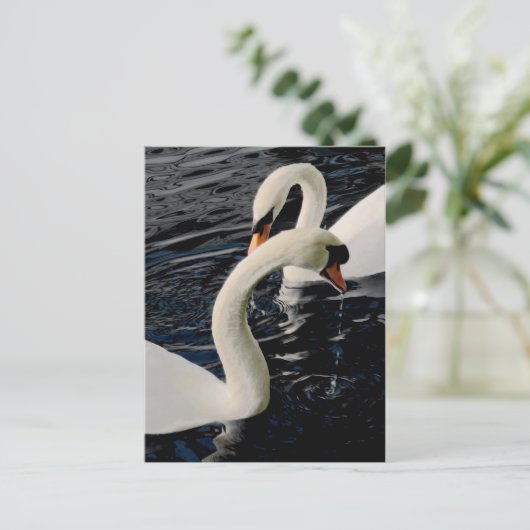 白鳥 ポストカード (スタンド正面)