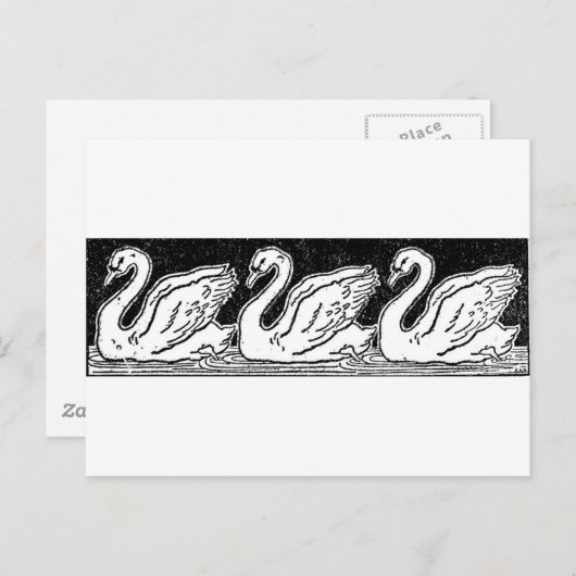 白鳥 ポストカード (正面/裏面)