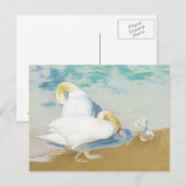 白鳥 ポストカード (正面/裏面)