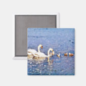 白鳥 マグネット (正面/裏面)