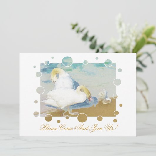 白鳥 招待状 (スタンド正面)