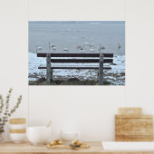白鳥、湖とベンチ – ポスター (キッチン)
