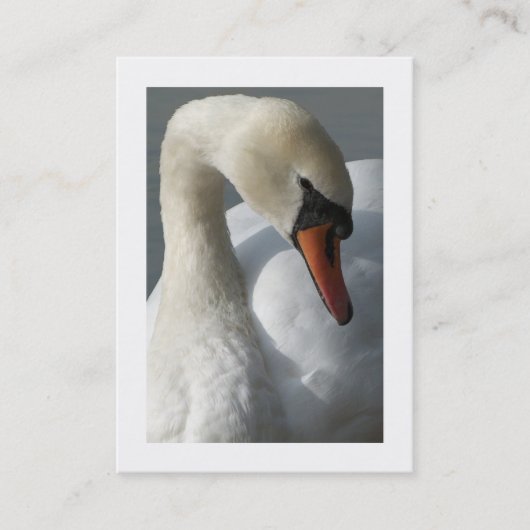 白鳥(縁どswan) 名刺 (正面)