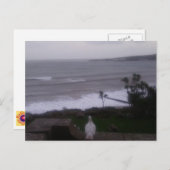 白鳩シービューフォトポストカード ポストカード (正面/裏面)