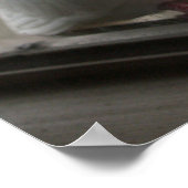 白鳩ポスター ポスター (角)