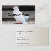 白鳩、鳥の写真 名刺 (正面/裏面)