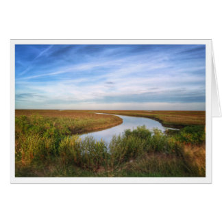 白鷺の島、Matagorda、TX