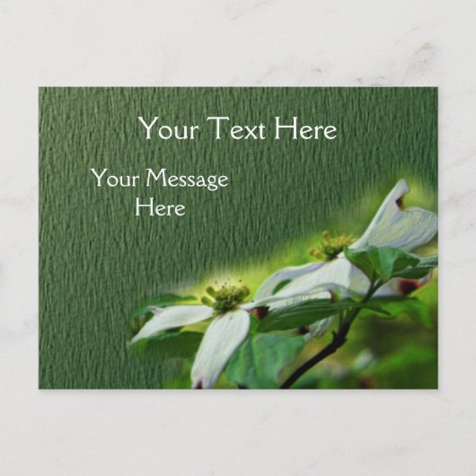 白鷺の花 ポストカード (正面)