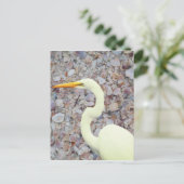 白鷺 ポストカード (スタンド正面)