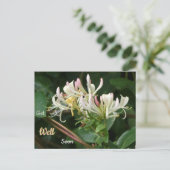 白黄色ハニサックルの回復おめでとうポストカード ポストカード (スタンド正面)