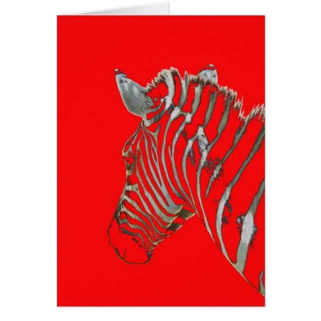 白黒および全体にわたって赤! (正面)