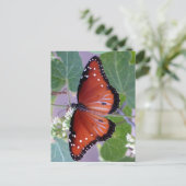 白黒および全体にわたって赤 ポストカード (スタンド正面)